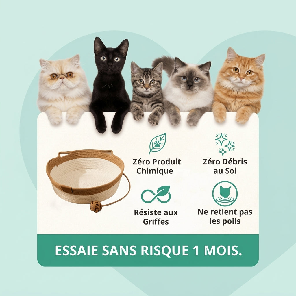 ElitX — Refuge Anti-Stress, Griffoir & Lit Naturel
