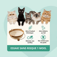 ElitX — Refuge Anti-Stress, Griffoir & Lit Naturel
