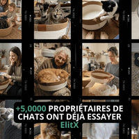 ElitX — Refuge Anti-Stress, Griffoir & Lit Naturel