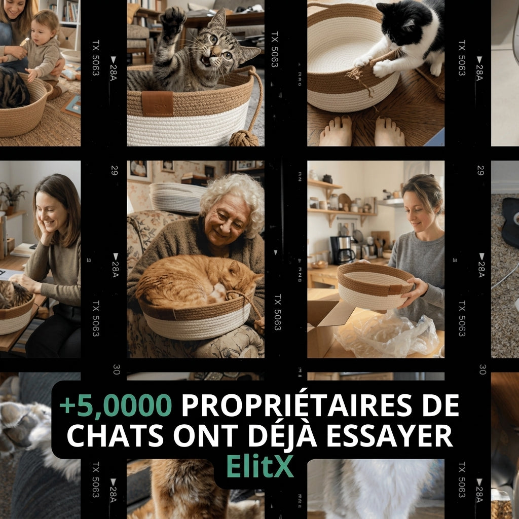 ElitX — Refuge Anti-Stress, Griffoir & Lit Naturel